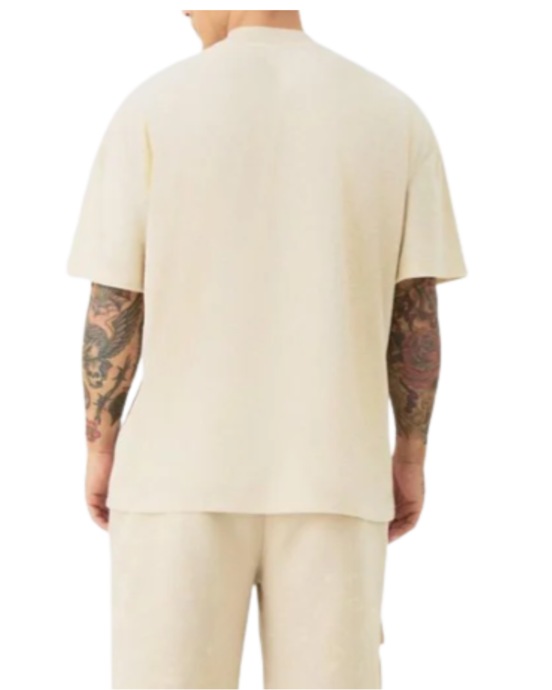 Beige Bear