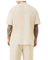 Beige Bear